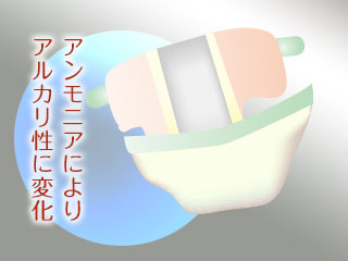 オムツとアンモニア