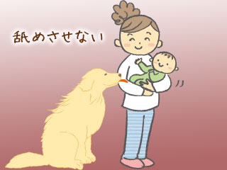 赤ちゃんを舐めようとする犬