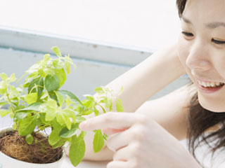 鉢植えの植物を触る女性
