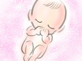 成長する胎児