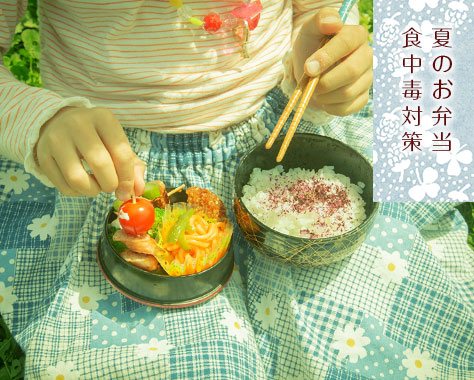 夏のお弁当作りで食中毒を防ぐ！厚生労働省の基準に学ぶ10の安全ルールと具体策