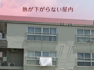 屋上が熱いアパート