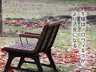 木枯らしの公園ベンチ