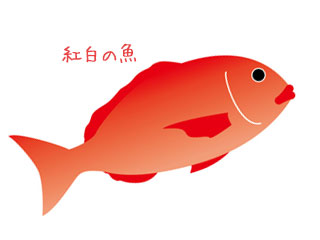 赤色の鯛