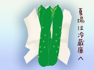 紙にくるんでヘタを上にしたきゅうり