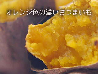 焼き芋のホクホクの切り口