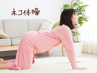 ネコ体操する妊婦