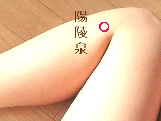 陽陵泉のツボの位置