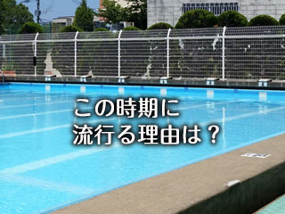 学校のプール