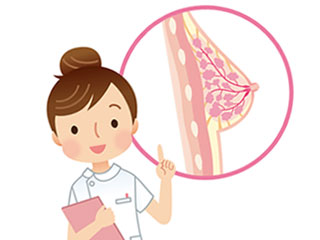 乳腺の図を指す看護師