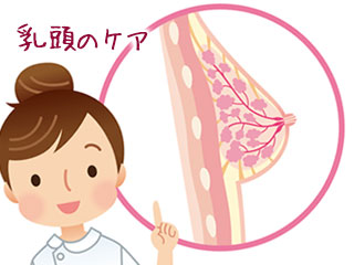 乳房の解剖図を指す看護師