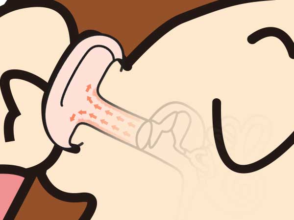 耳垢の動きを説明してる耳の断面図イラスト