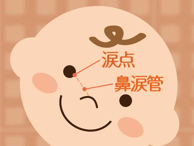 赤ちゃんの顔を使った涙点と鼻涙管の解説イラスト