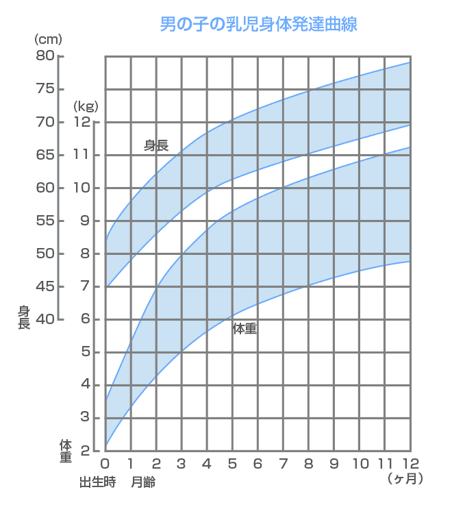 【新生児の身長】簡単な測り方・1カ月の平均身長と体重 - マーミー