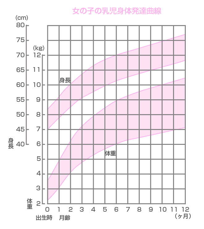 新生児期の女の子の乳児身体発達曲線