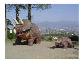 茶臼山恐竜公園・自然植物園