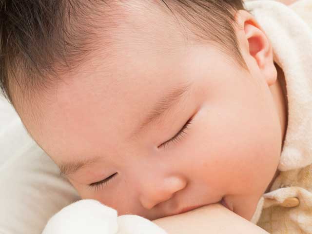 母親のおっぱいに吸い付く赤ちゃん