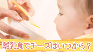 離乳食のチーズはいつから　種類別の開始時期と量の目安･塩分の選び方
