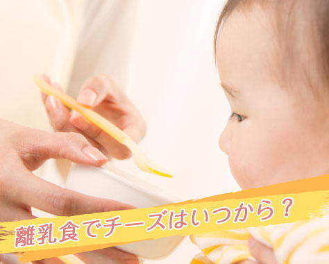 離乳食のチーズはいつから　種類別の開始時期と量の目安･塩分の選び方