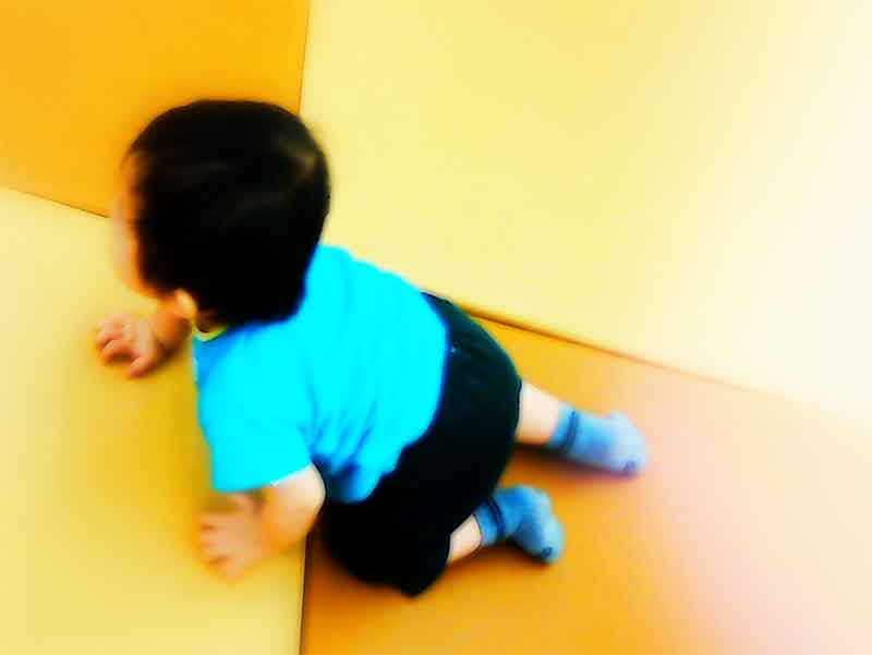 日中元気にハイハイしている赤ちゃん