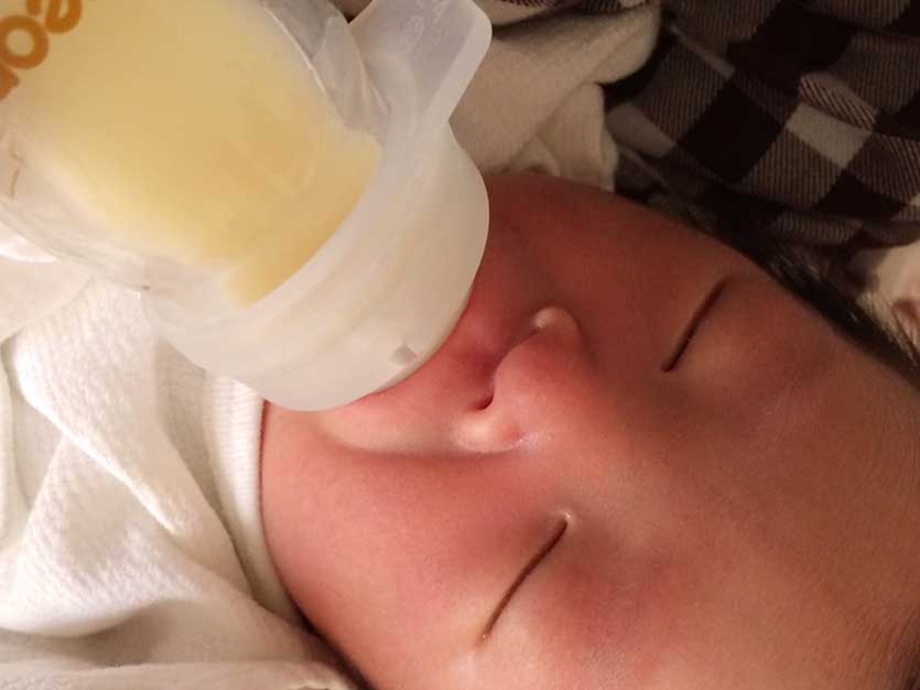 初乳を飲んでる新生児