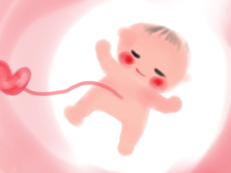 お母さんのお腹にいる赤ちゃんをイメージにしたイラスト