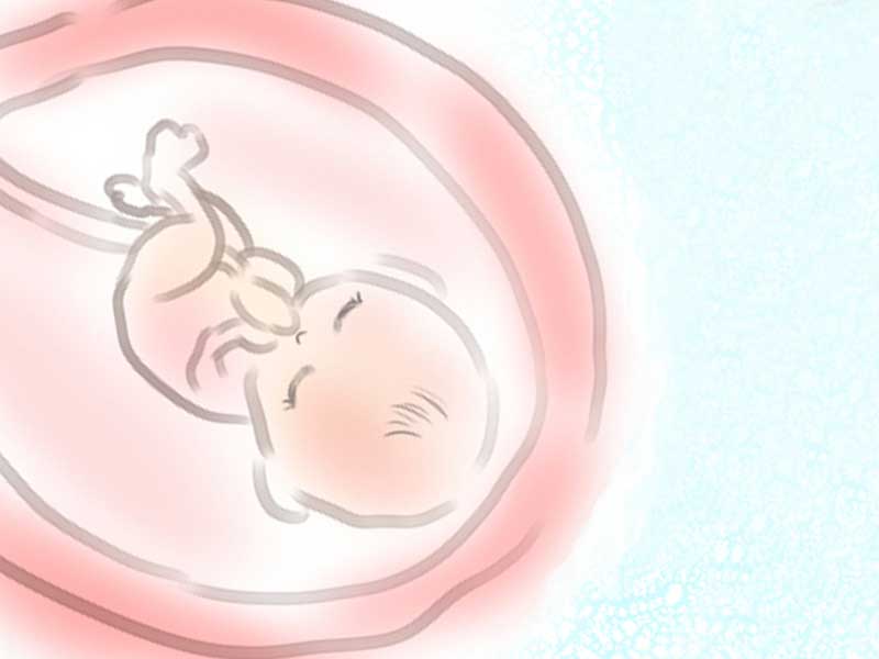 赤ちゃんがお母さんのお腹の中にいるイメージのイラスト