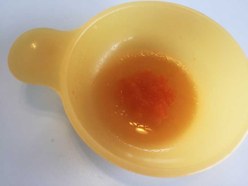 人参スープ