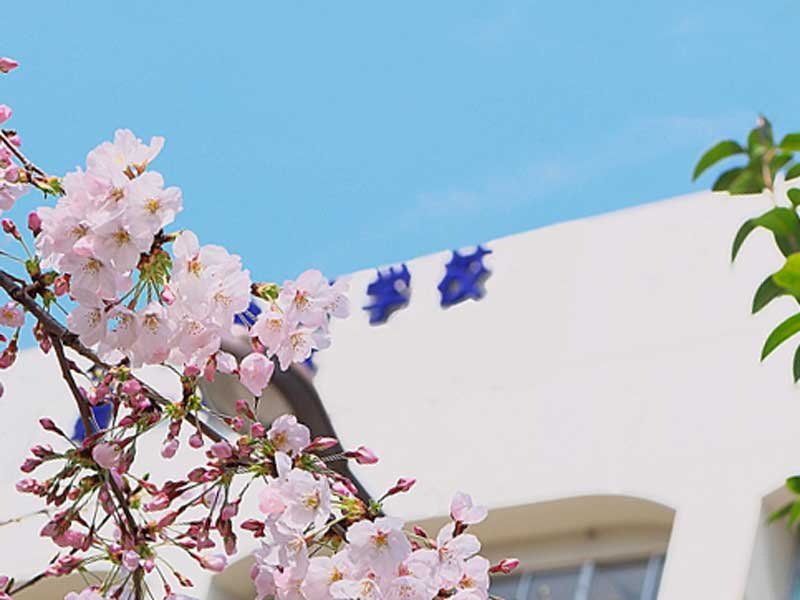 春の学校