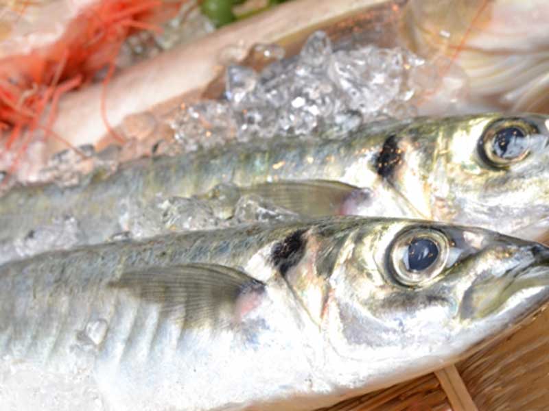 魚介類