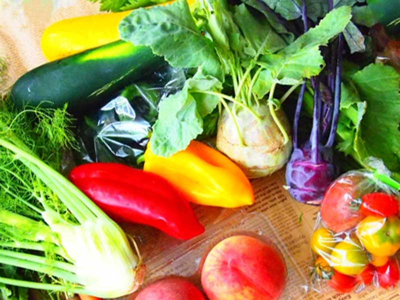 色々な新鮮な野菜