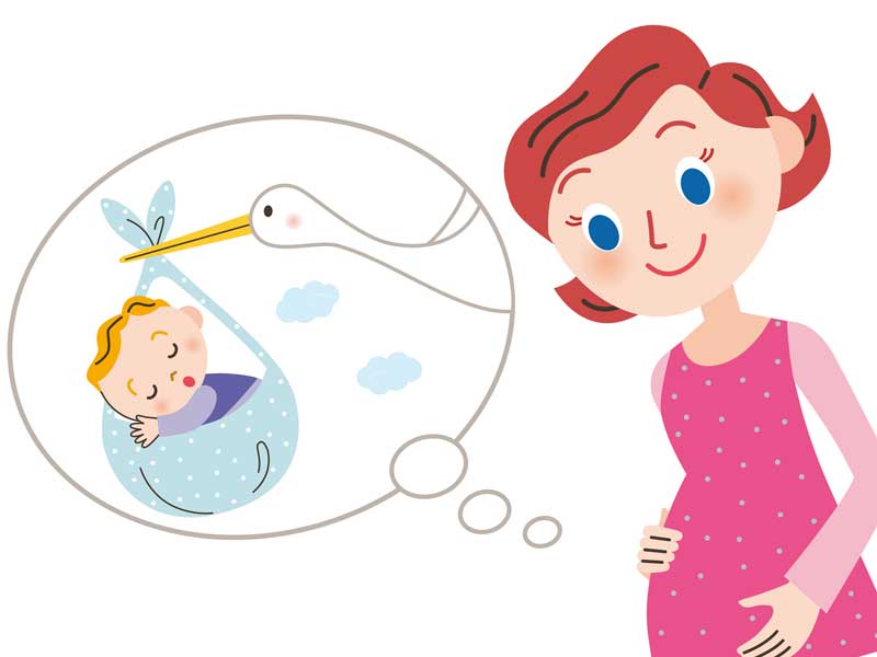 お腹の赤ちゃんを想像する妊婦のイラスト