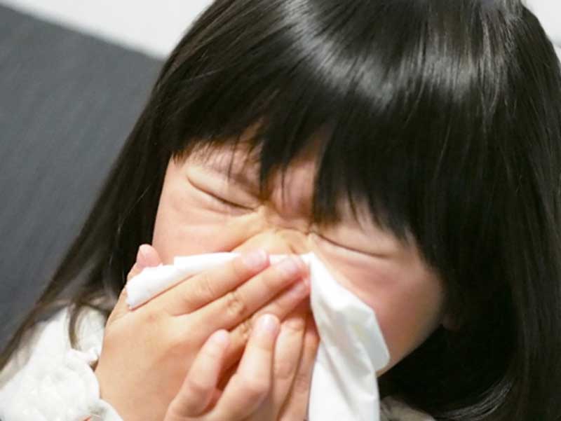 洟をかんでる鼻炎の子供
