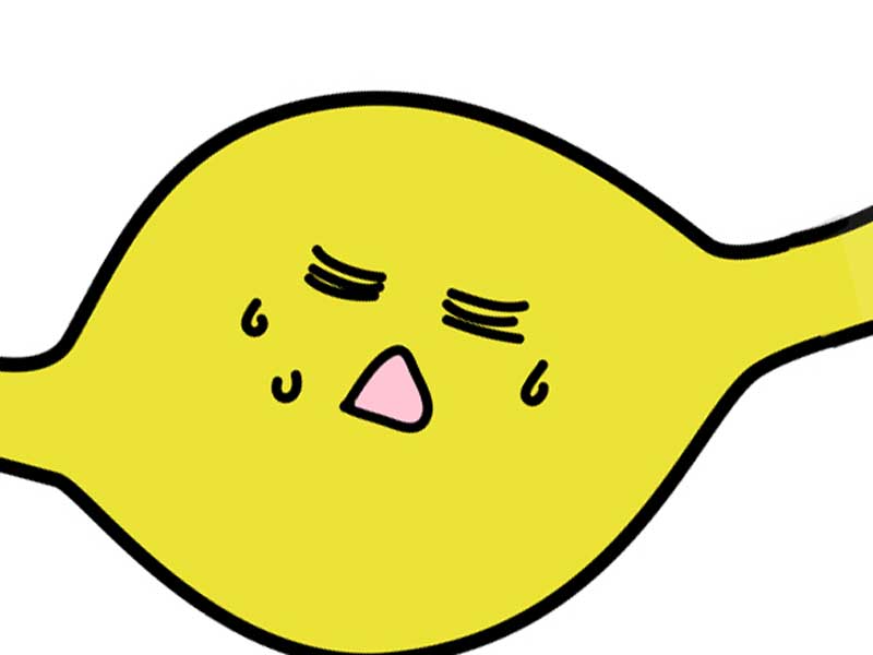 消化管のイラスト