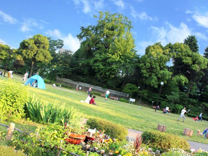 週末の公園
