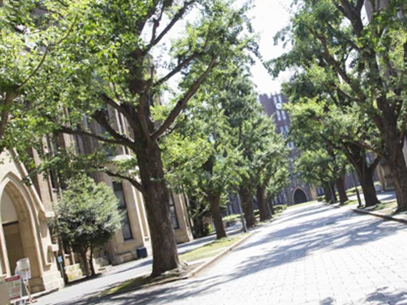 東大キャンパス