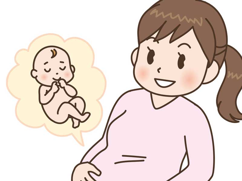 お腹の中の赤ちゃんのことを想像している妊婦さんのイラスト