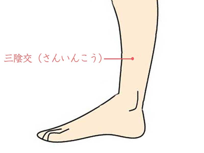 三陰交ツボのイラスト