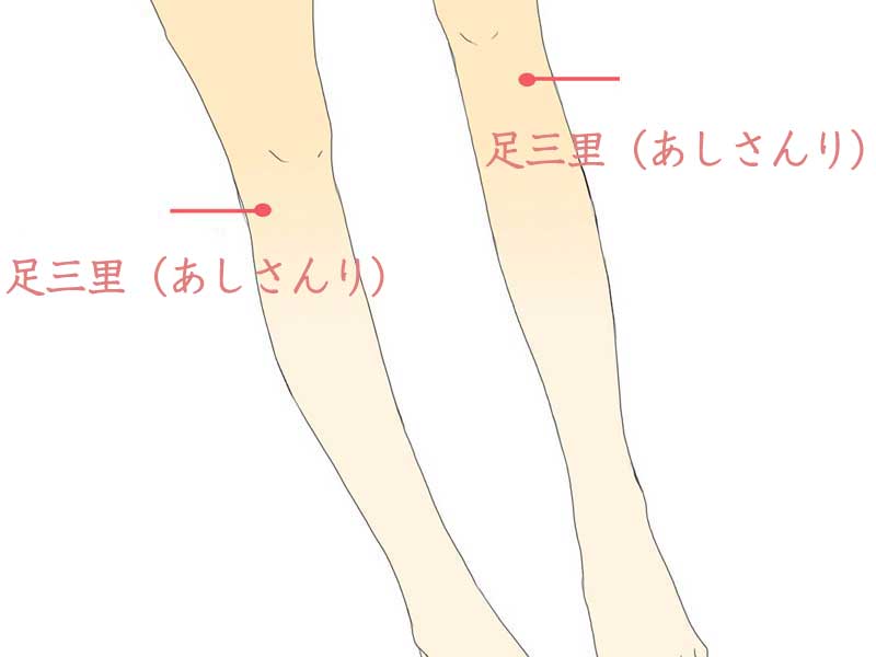 足三里ツボのイラスト