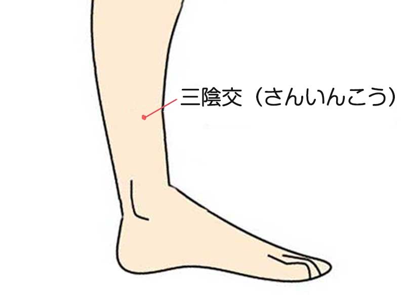 三陰交の位置のイラスト