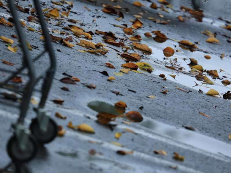 秋の雨後