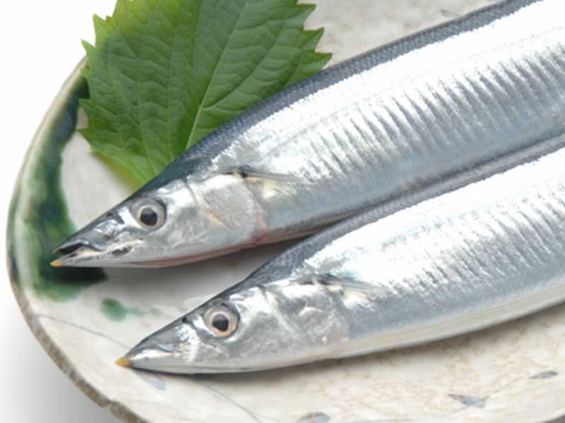秋の旬の秋刀魚