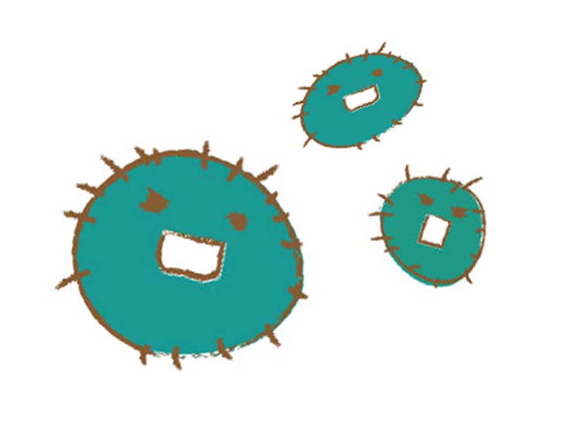 ウィルスのイラスト