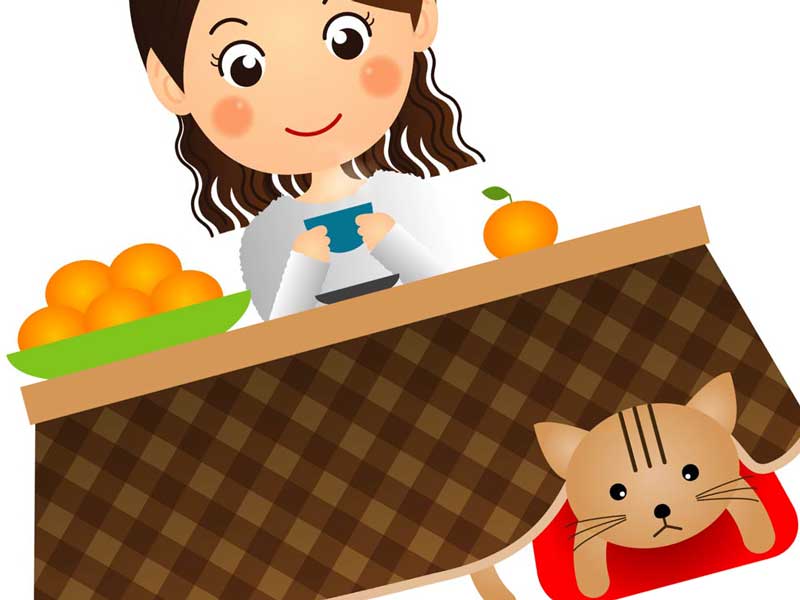 猫を飼っている妊婦さんのイラスト