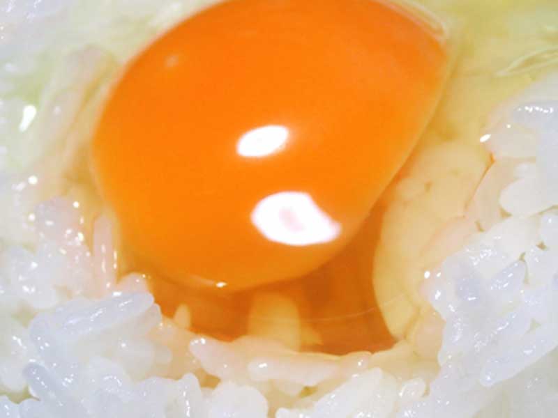 卵かけご飯の黄身