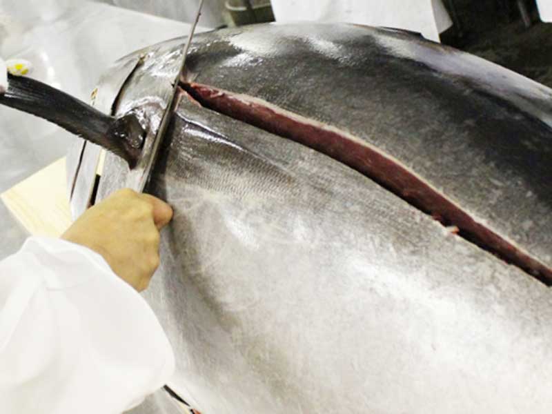 マグロを解体する職人さん