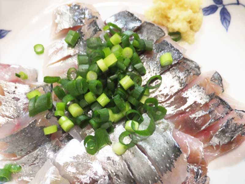 アジのお刺身