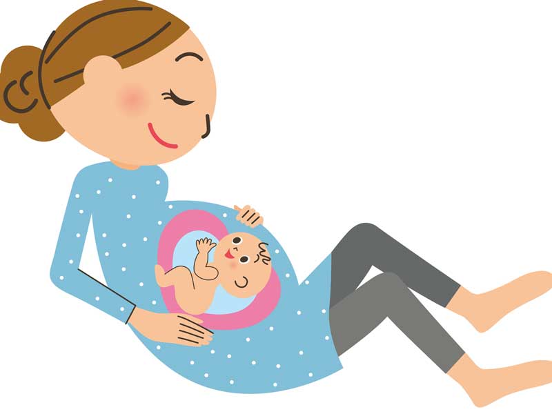 妊婦さんのお腹の中の赤ちゃんのイラスト
