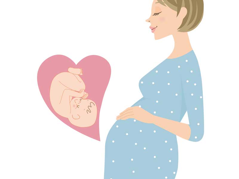 妊婦さんとお腹の赤ちゃんのイラスト