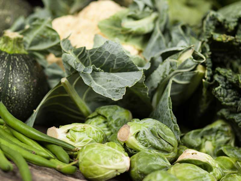 緑の野菜
